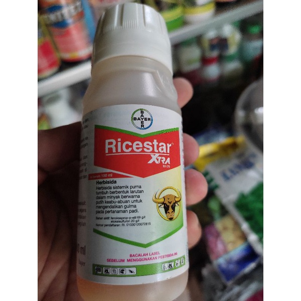 HERBISIDA RICESTAR 100 ML