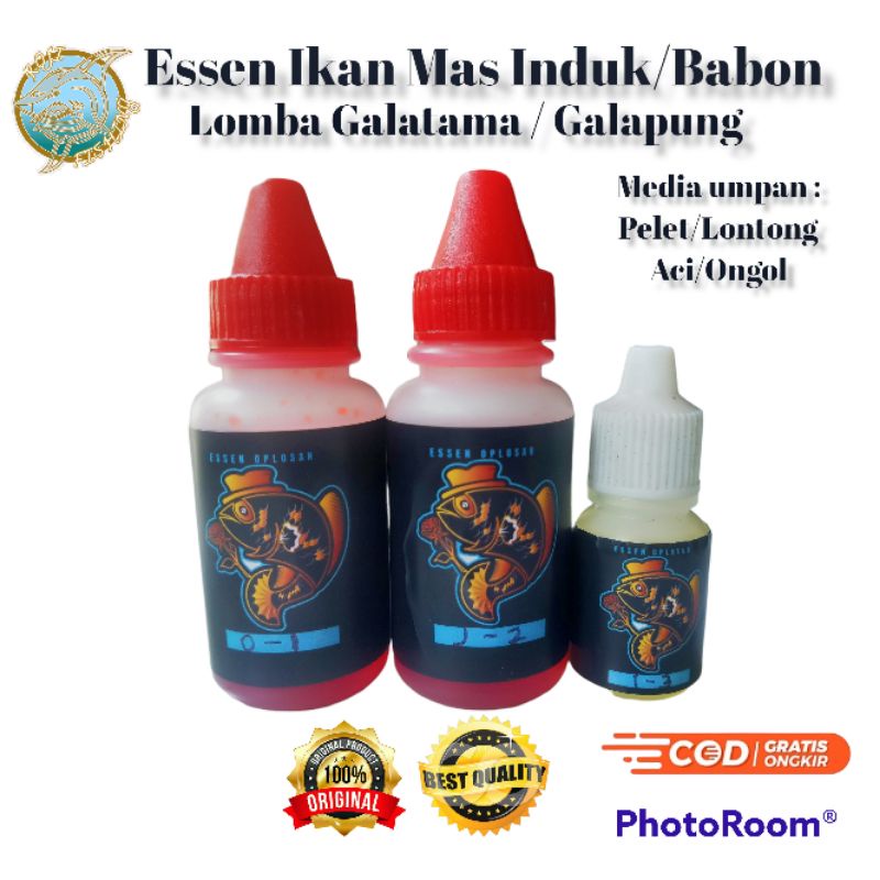 Essen Oplosan Ikan Mas Babon/Induk Essen Ikan Mas Lomba /Galatama / Galapung Essen Oplosan Ikan Mas 