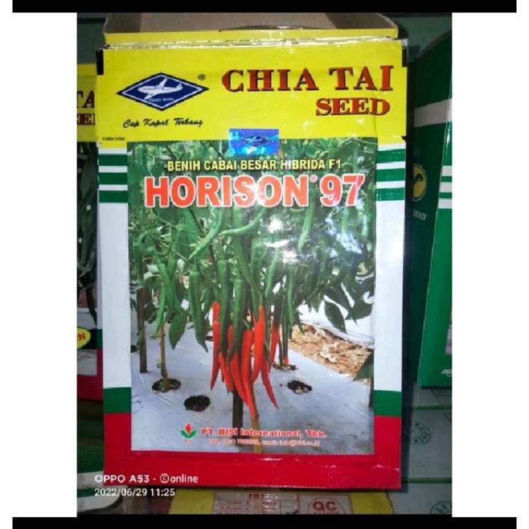 Cabe Besar Horison 97 Tahan Virus Original Pabrik Kemasan 10gr