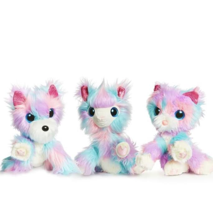 Scruff A Luvs Scruff A Luvs