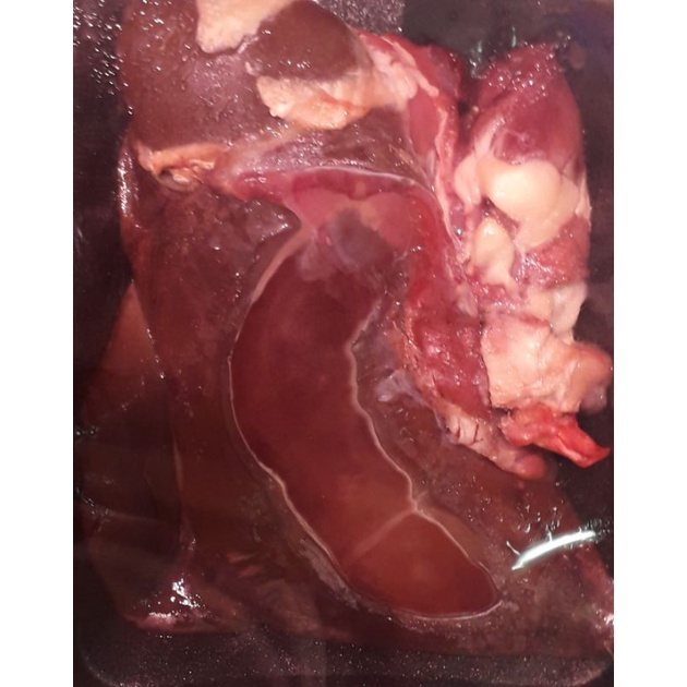 

hati kambing fresh pack