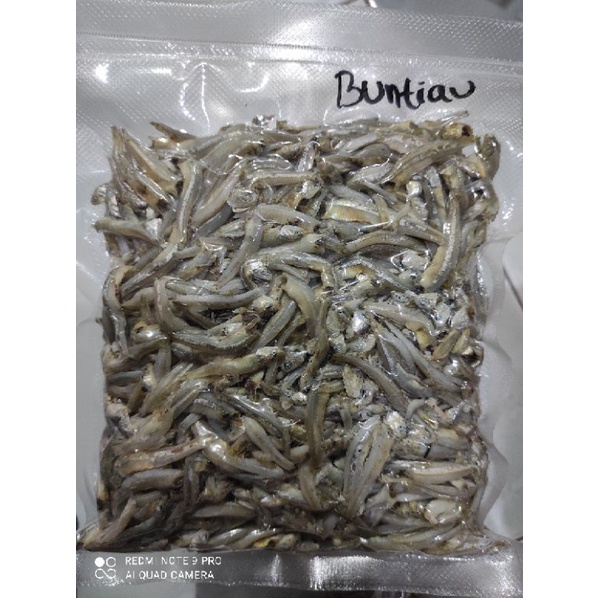 

teri buntio @500 gram per bungkus