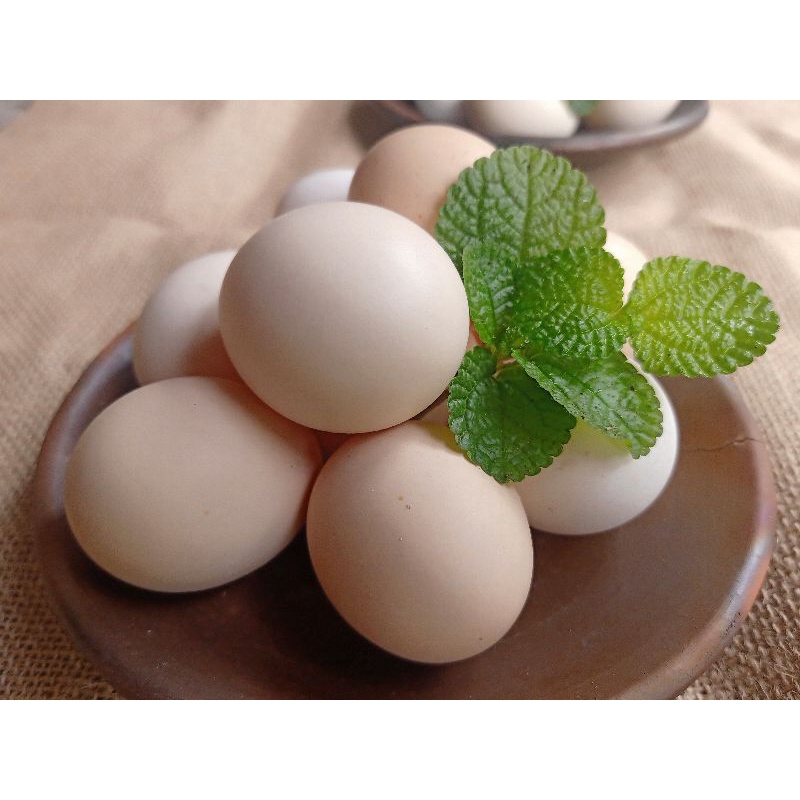 

telur ayam omega