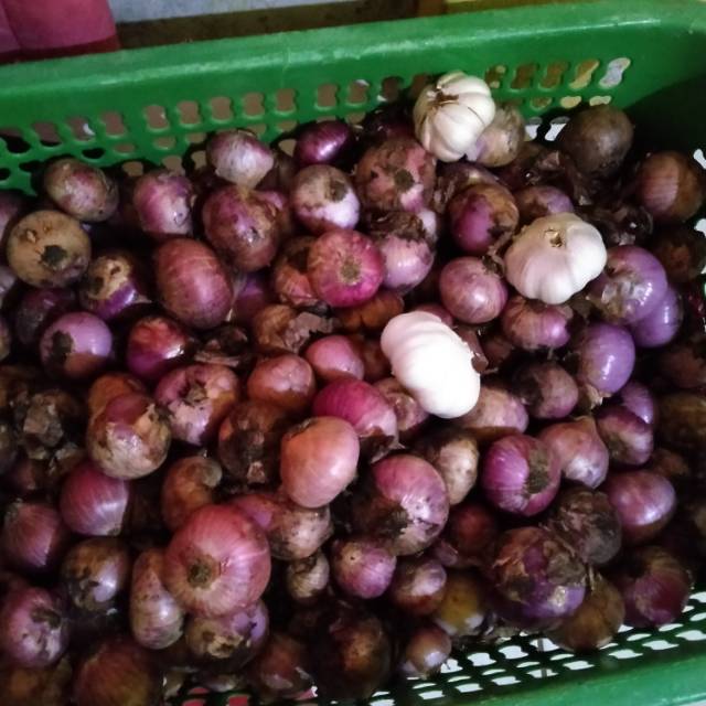 

Bawang merah peking kecil