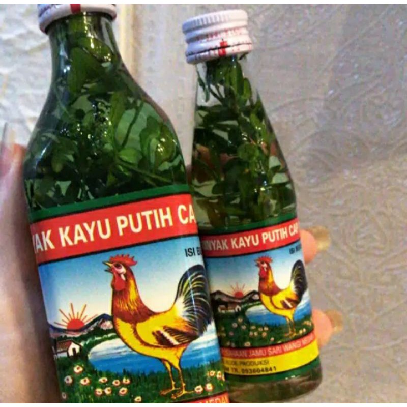 READY STOCK MINYAK KAYU PUTIH CAP AYAM 40ML & 150ML DENGAN RENDAMAN CAO CAO / DAUN INGGU