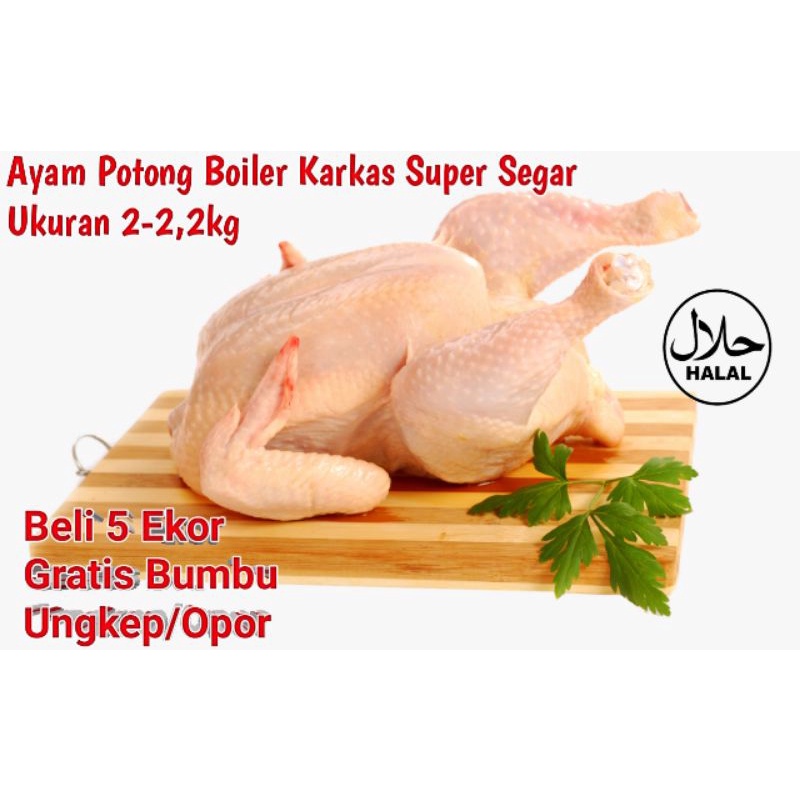 

(Termurah) Ayam Potong Boiler Karkas Segar 2-2,2kilo