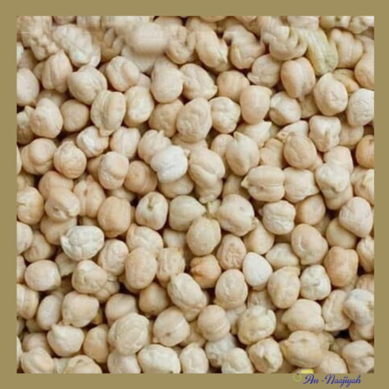 

KACANG ARAB POLOS