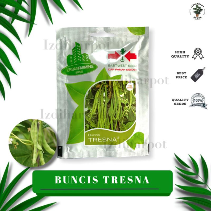 Benih Bibit Buncis Tresna Cap Panah Merah - BUNCIS TRESNA EAST WEST SEED