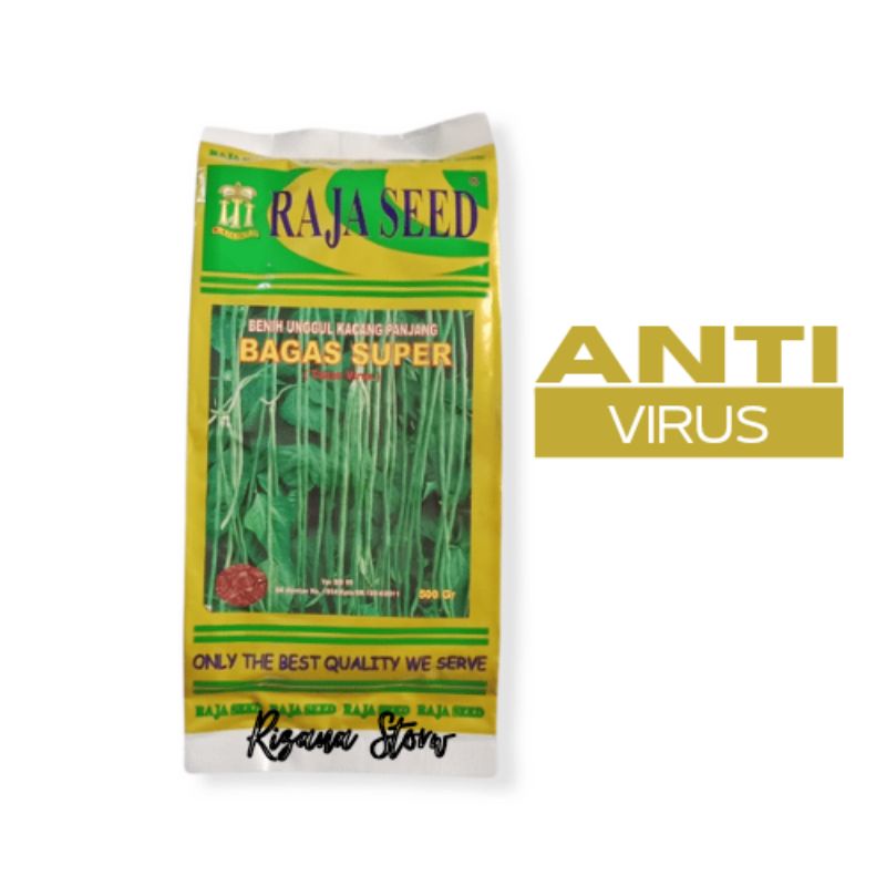 Raja Seed Bagas Super Benih Kacang Panjang Unggul Tahan Virus