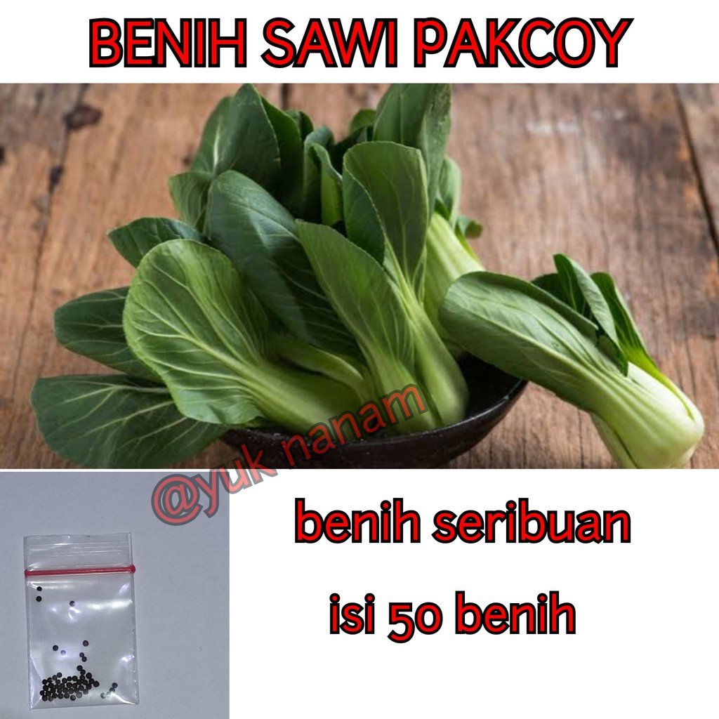 Jual Benih Sawi Pakcoy Pokcoy Seribuan Shopee Indonesia