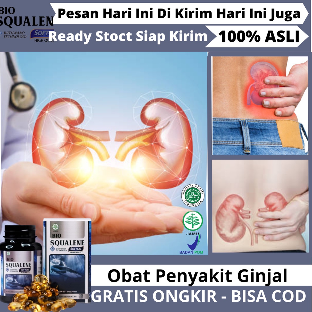 Obat Ginjal Bocor - Obat untuk Ginjal Bocor - Obat Herbal Ginjal - Obat Sakit Ginjal - Obat Ginjal A