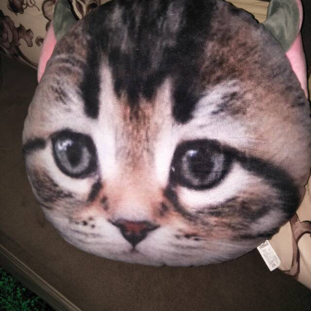 Bantal kepala kucing