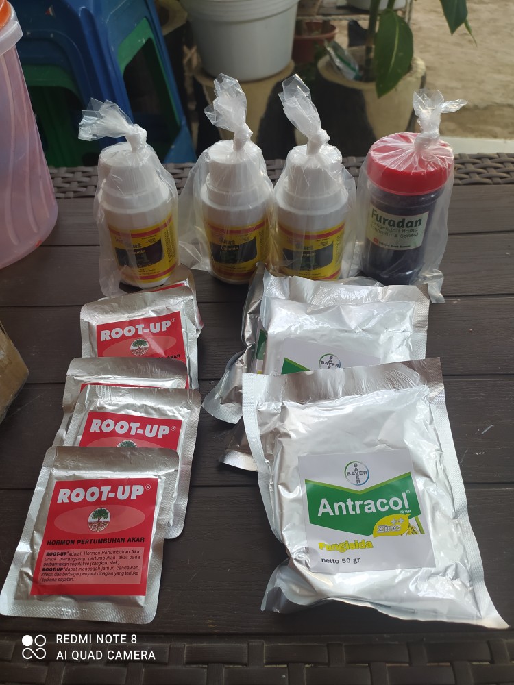 Furadan Pengendali Hama