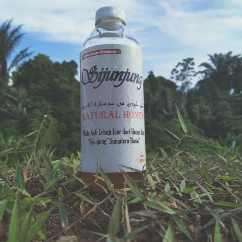 

MADU HUTAN ASLI SI JUNJUNG