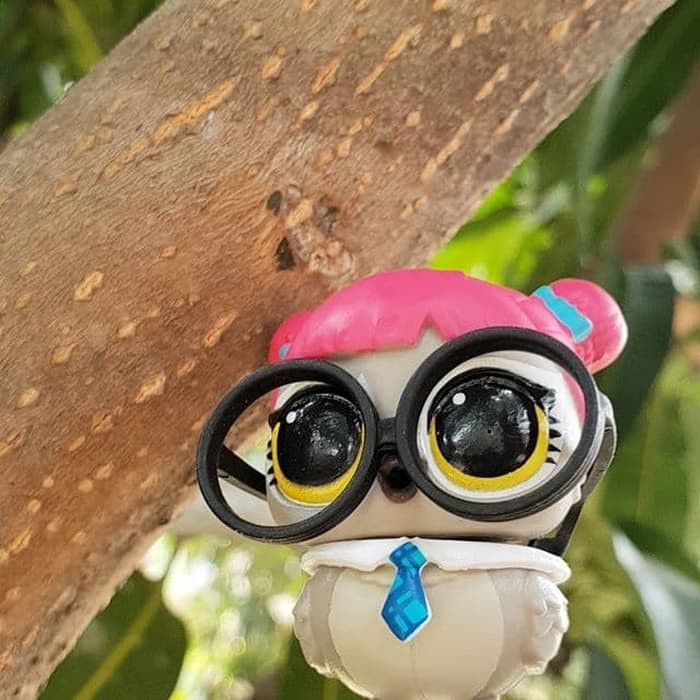 lol surprise teachers owl