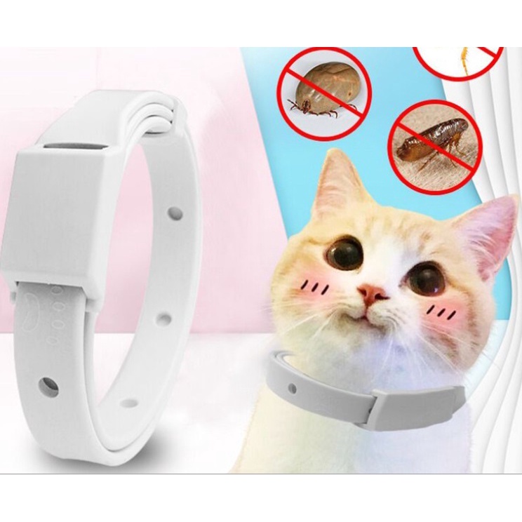 Flea removal collar antikutu kucing