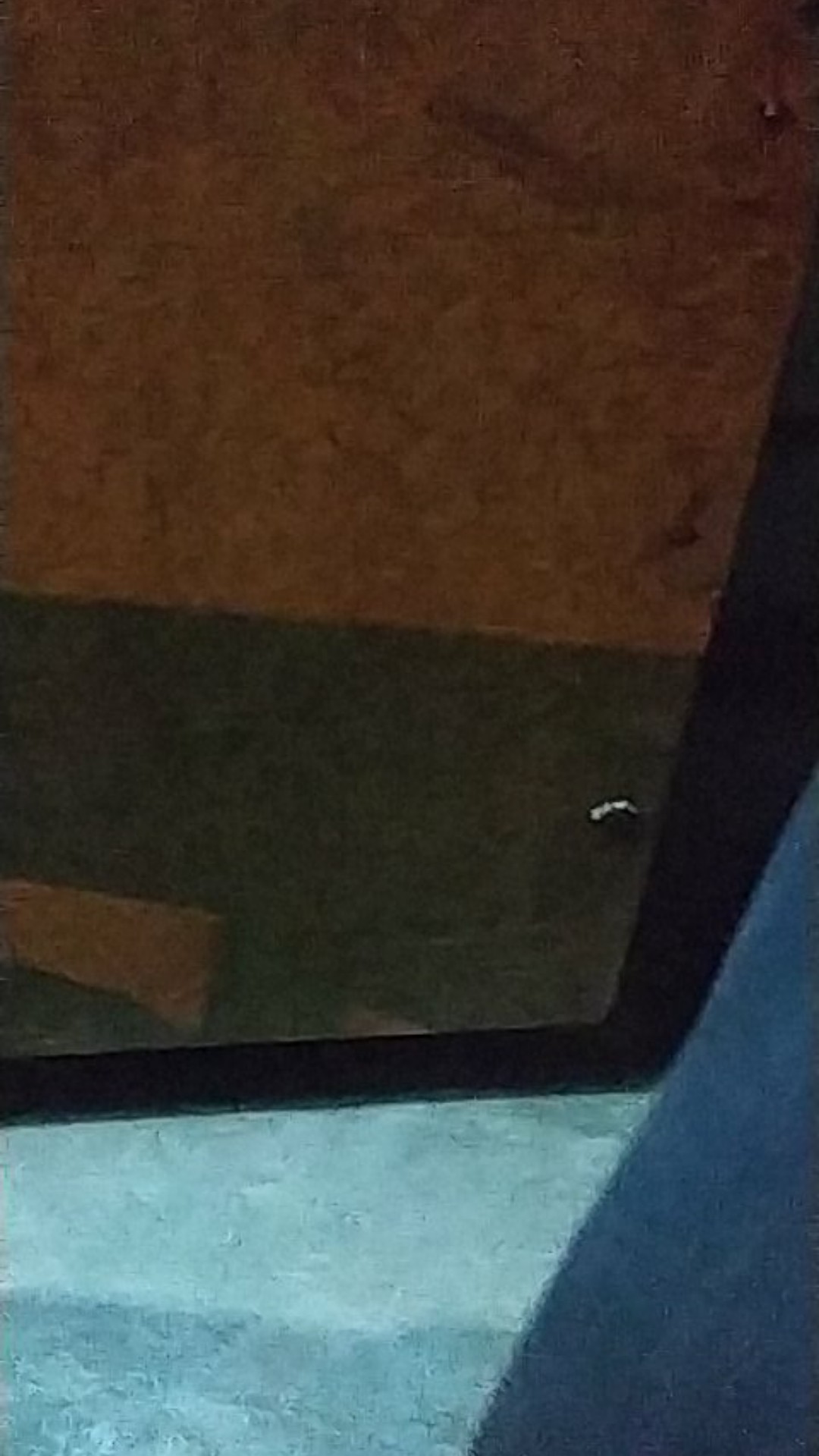 Handle Pintu Rumah Set