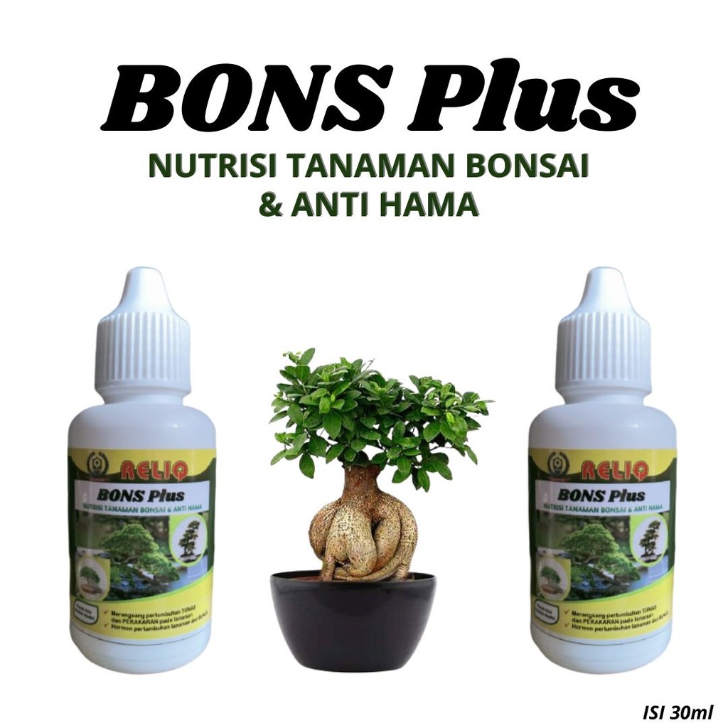 Nutrisi Tanaman bonsai beringin, BISA COD pupuk bonsai serut, Hormon Pemacu Pertumbuhan Tunas