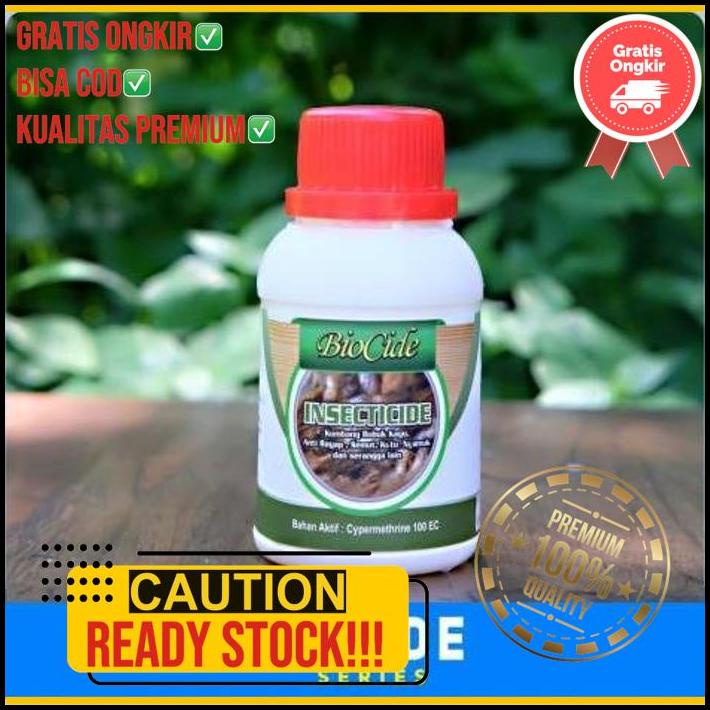 Obat Kayu Anti Rayap Kumbang Bubuk Dan Serangga Biocide Insecticide