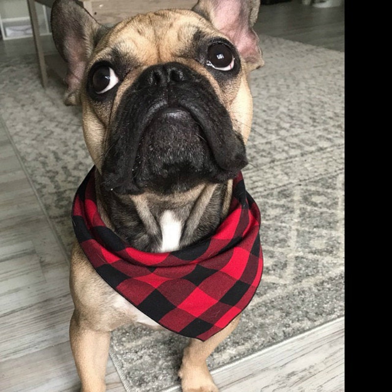 Bandana Anjing Besar Pet Scarf Pet Bandana Untuk Anjing Cotton Plaid WashableBow