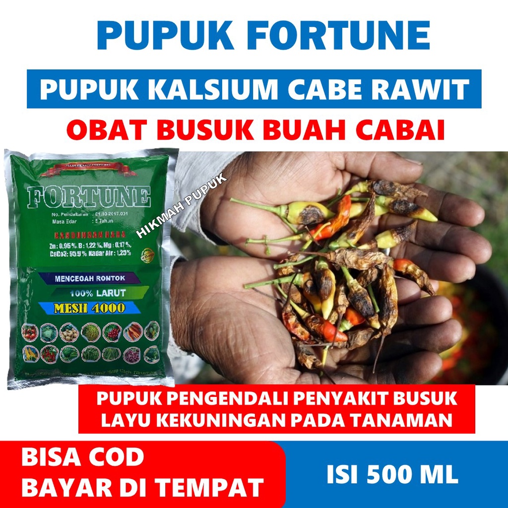 REKOMENDED FORTUNE Obat Hama Patek Buah Cabe, Cabai Rawit, Kacang Panjang, Timun, Bawang Daun, Pupuk