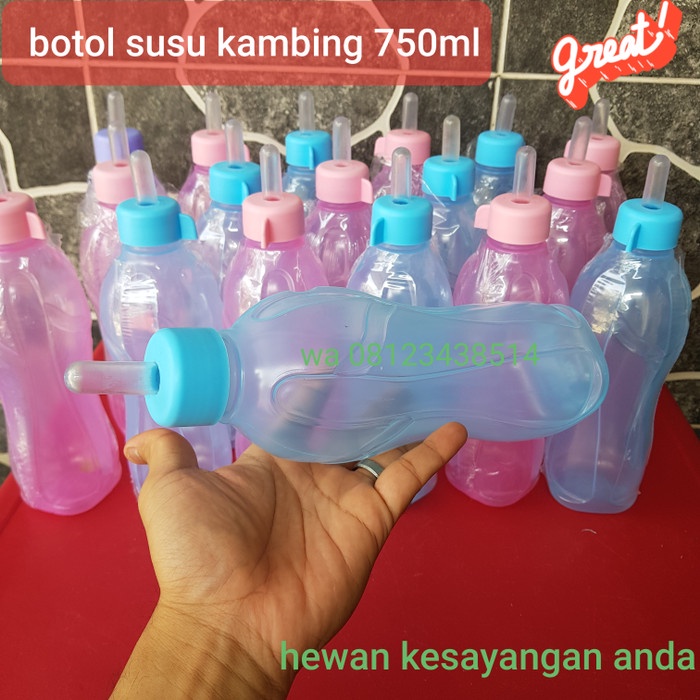 botol susu ternak kambing-botol susu cempe -botol susu kambing - botol susu anjing - dot susu ternak