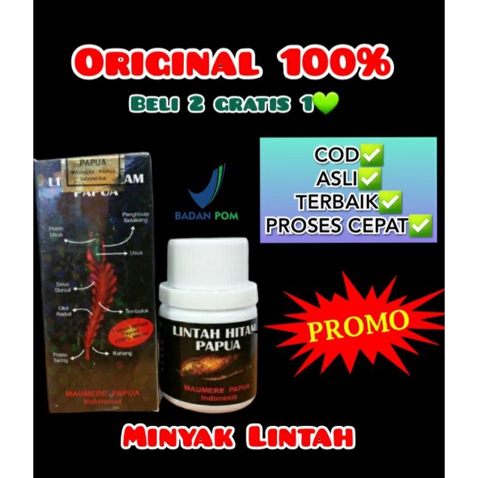 Minyak Lintah Oles / Pembesar Pria / Stamina Pria / Lintah Papua