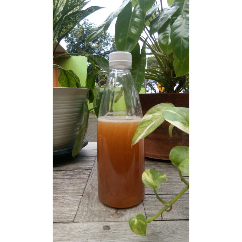 

Madu Murni-Pure Honey-Madu Kembang Randu-Madu Ternak
