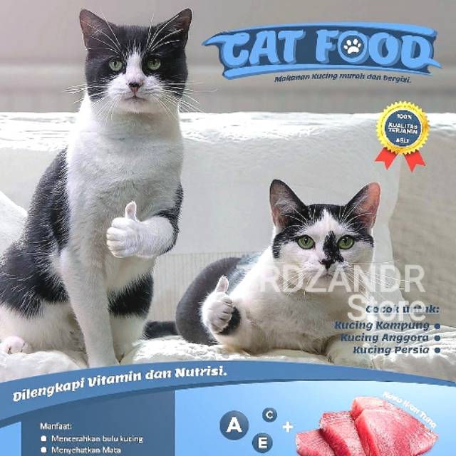 Cat Food Makanan Kucing Shopee Indonesia