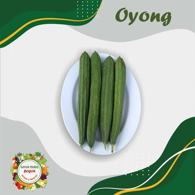 

Sayur oyong Murah 500gr