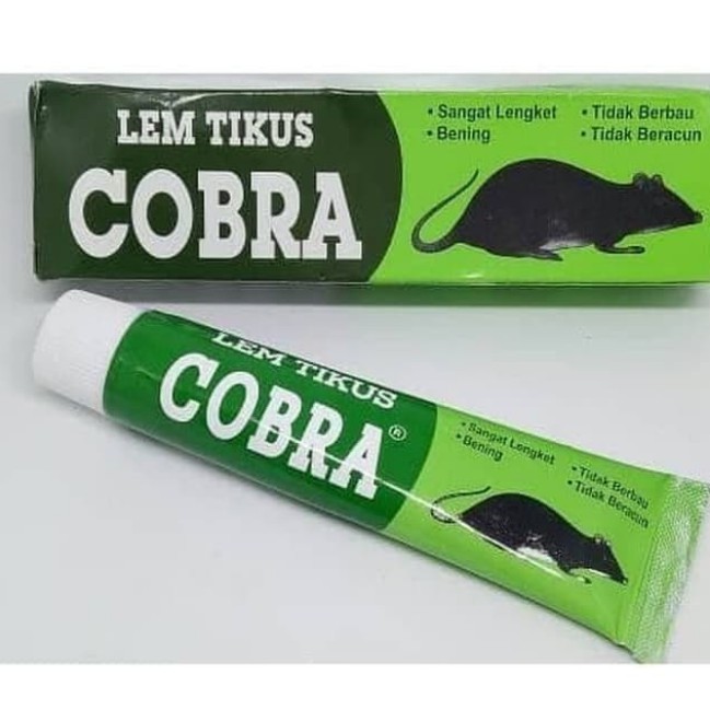 LEM TIKUS COBRA SUPER LENGKET UNTUK PERANGKAT TIKUS / JEBAKAN ANTI TIKUS ISI 70GRAM TERMURAH