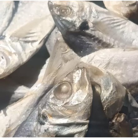 

Ikan Asin Selar - 100 Gram