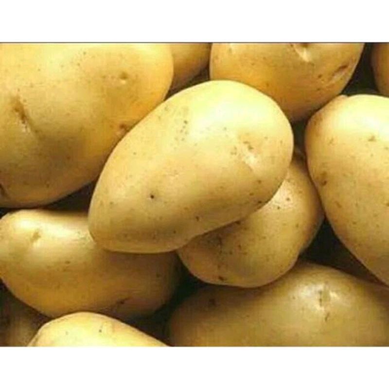 

Kentang fresh 1kg