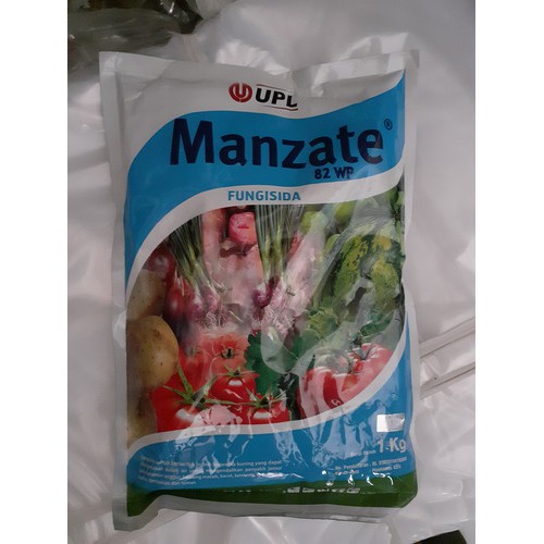 MANZATE 82WP FUNGISIDA
