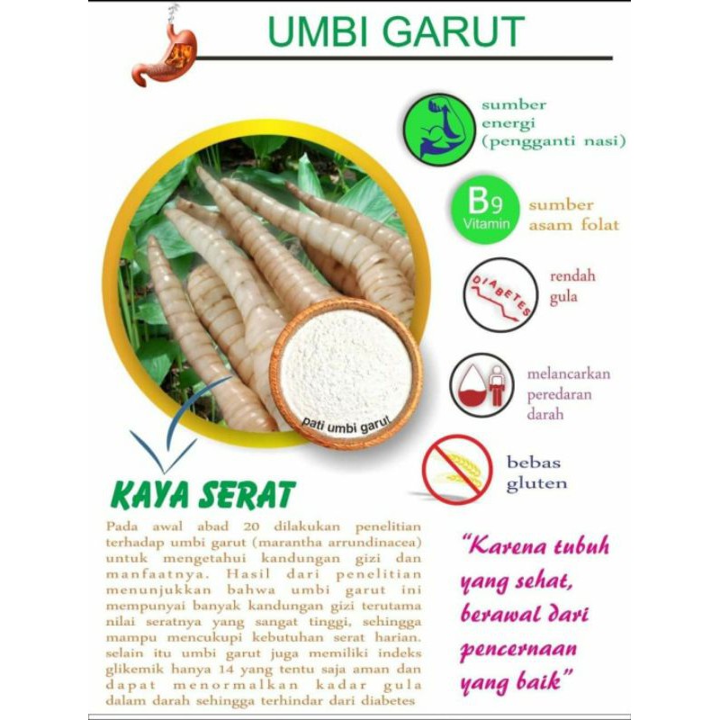 Oriflakes Sereal Umbi Garut Slim Untuk Diet Dan Solusi Maag Dan Asam Lambung 350 Gram Indonesia