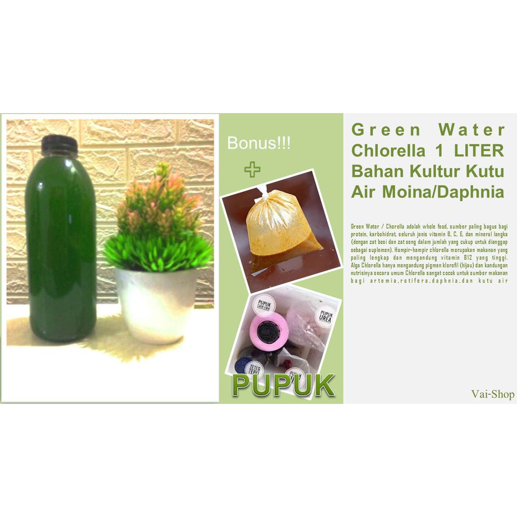

Green Water Chlorella 1 LITER Bahan Kultur Kutu Air Moina/Daphnia + Pupuk