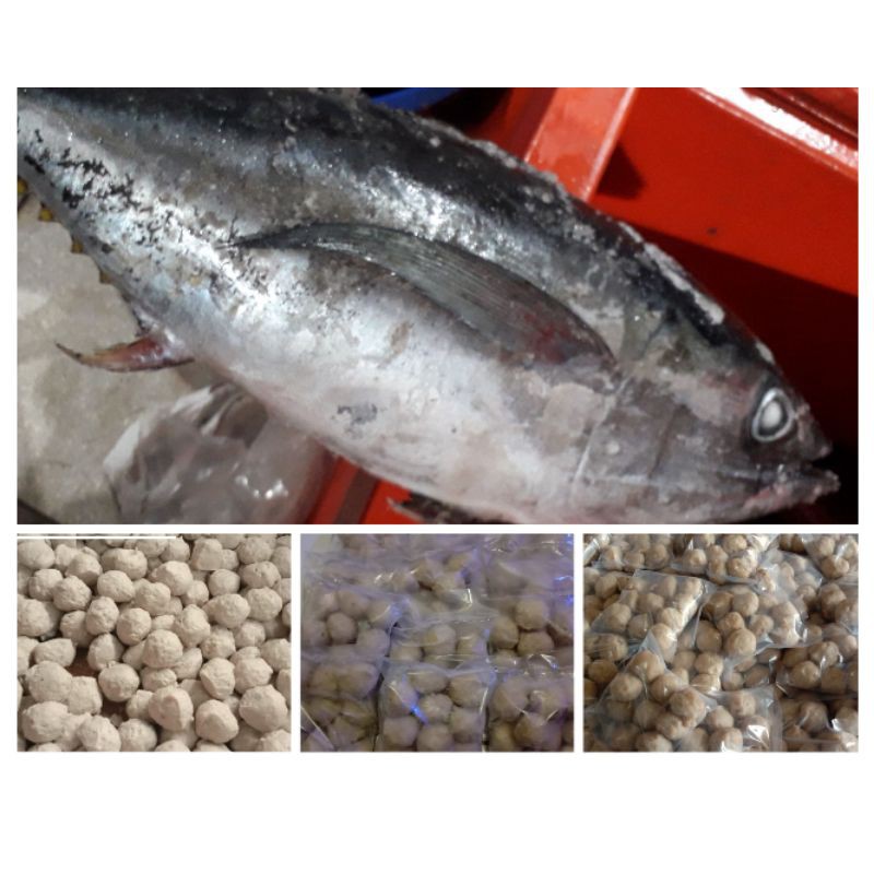 

bakso ikan tuna