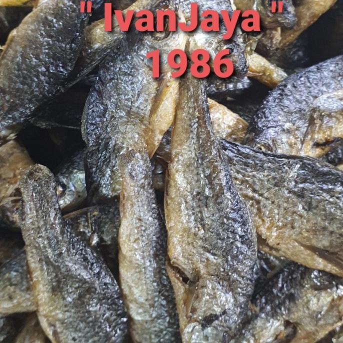 

[COD] Ikan Bilih Danau Singkarak / Tawar Padang Besar 500gram [COD]