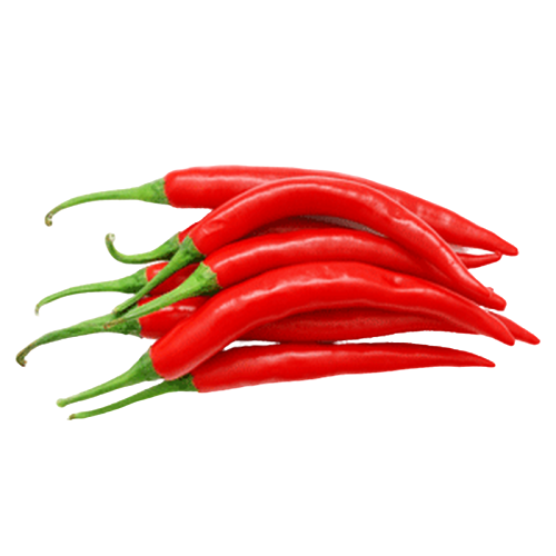 Benih Serba 1000 Rupiah ( Paprika, Tomat, Cabe, Bawang Merah )-Cabe Besar 4 Benih