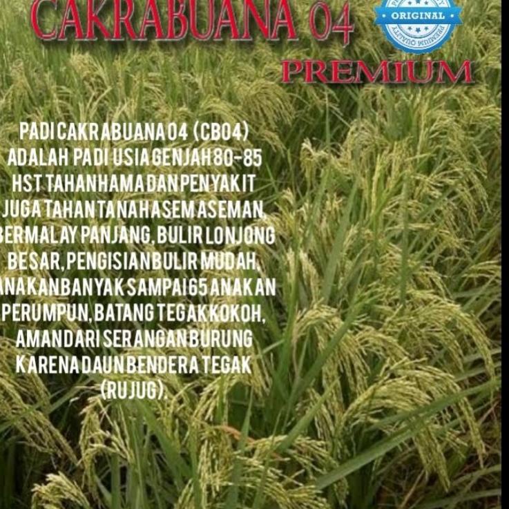 ➱ benih padi cakrabuana 04 5kg original く