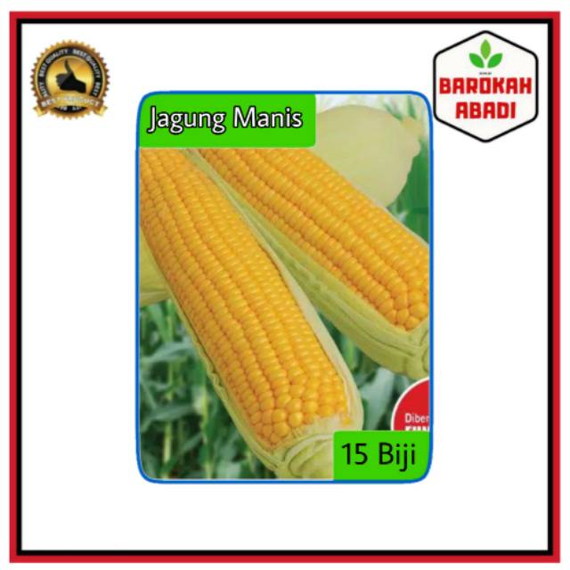 30 Biji - Benih Jagung Manis F1