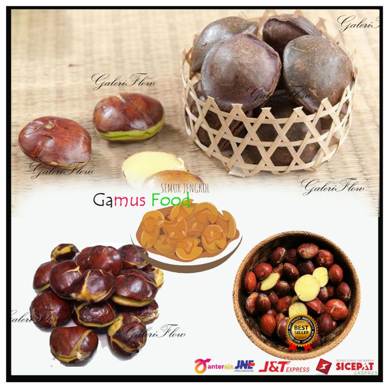 

JENGKOL TUA FRESH MURAH