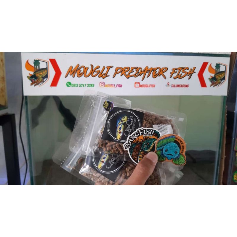 PROMO PELET MARU BUNGA BAR WARNA  pelet qiu qiu qiu2 original bangfish x fajar arief FREE STICKER