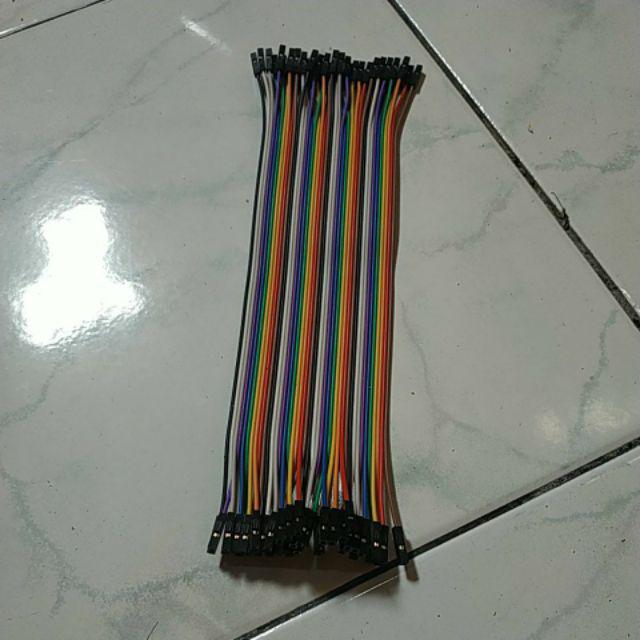 Kabel Jumper Dupont 20cm 10 Buah