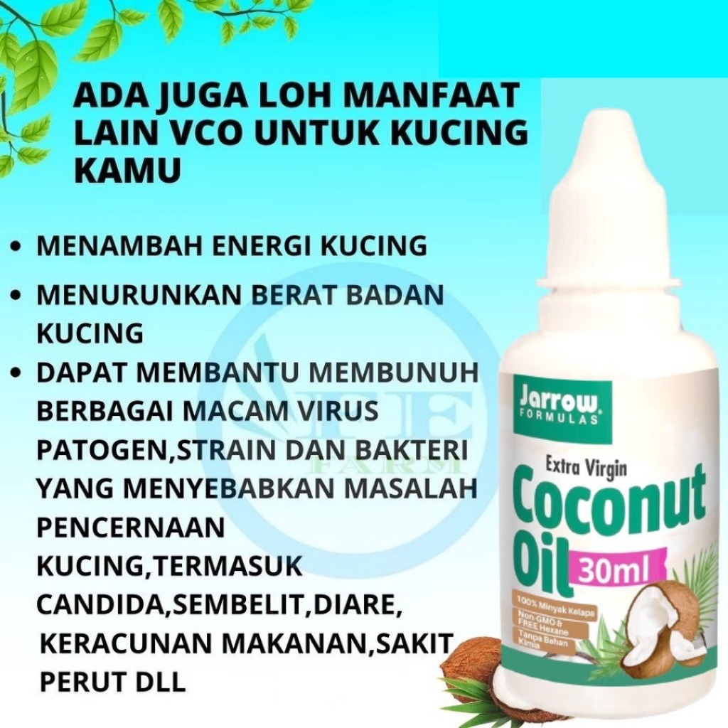 VIRGIN COCONUT OIL 30ml MINYAK KELAPA MURNI VCO MURNI OBAT JAMUR OBAT SCABIES KUCING OBAT BULU HEWAN FEFARM