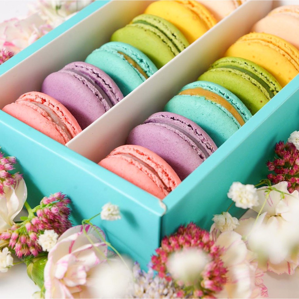 

Reg macaron isi 12 rasa mix