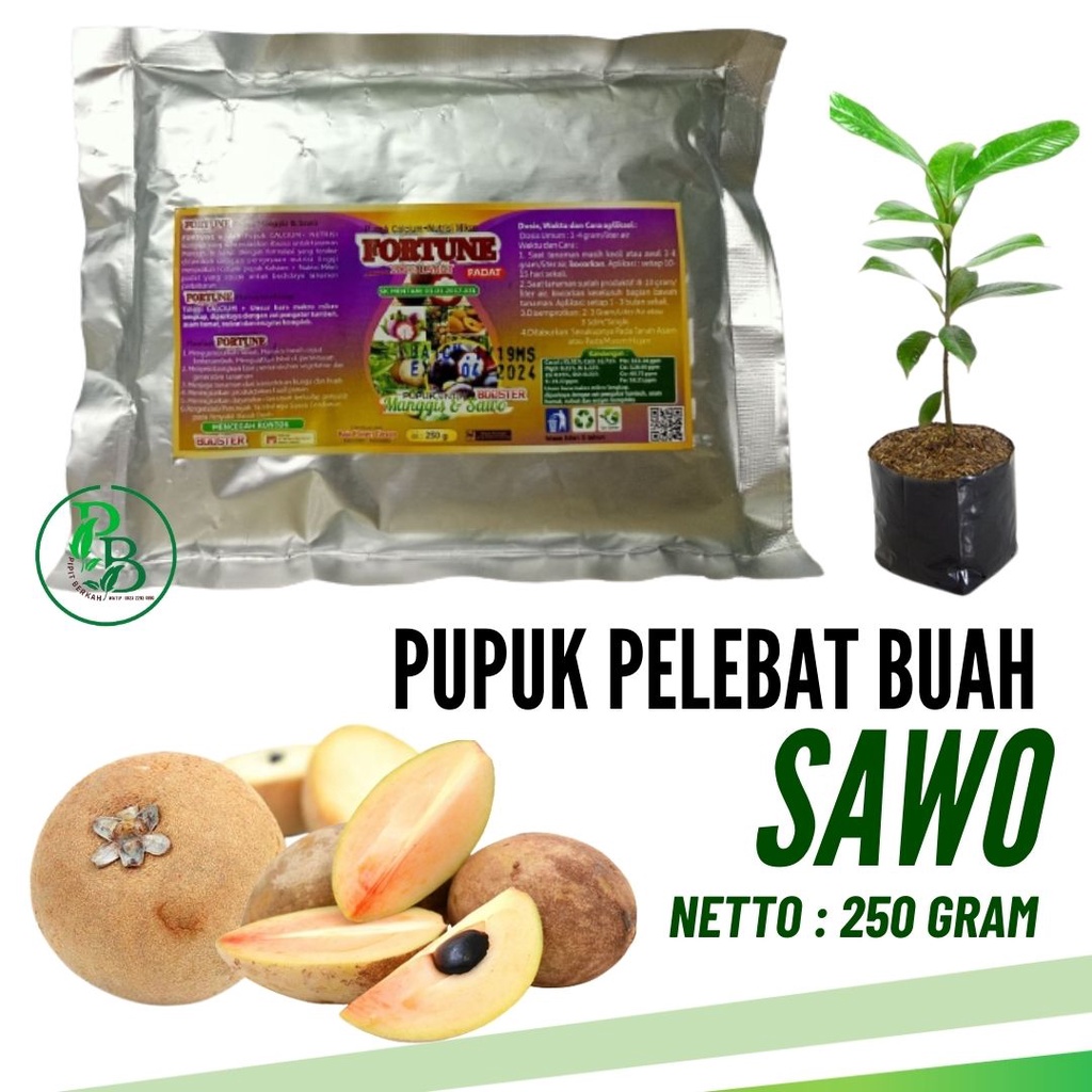 Jual Pupuk Sawo Organik Terbaik Booster Organik Sawo Agar Lebih Cepat Berbuah Lebat Tidak 