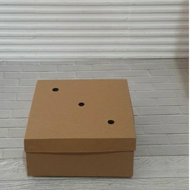 Dos Nasi Snack Box Nasi Kraft 16x16 minimal 10 pcs