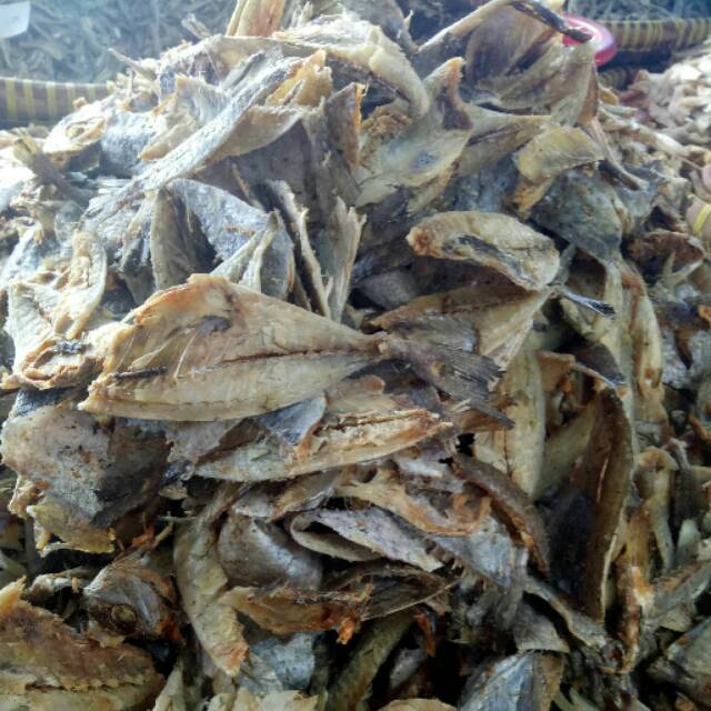 

Ikan kopek