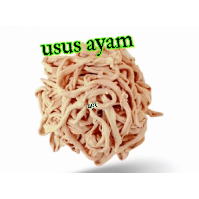 

usus ayam segar fresh
